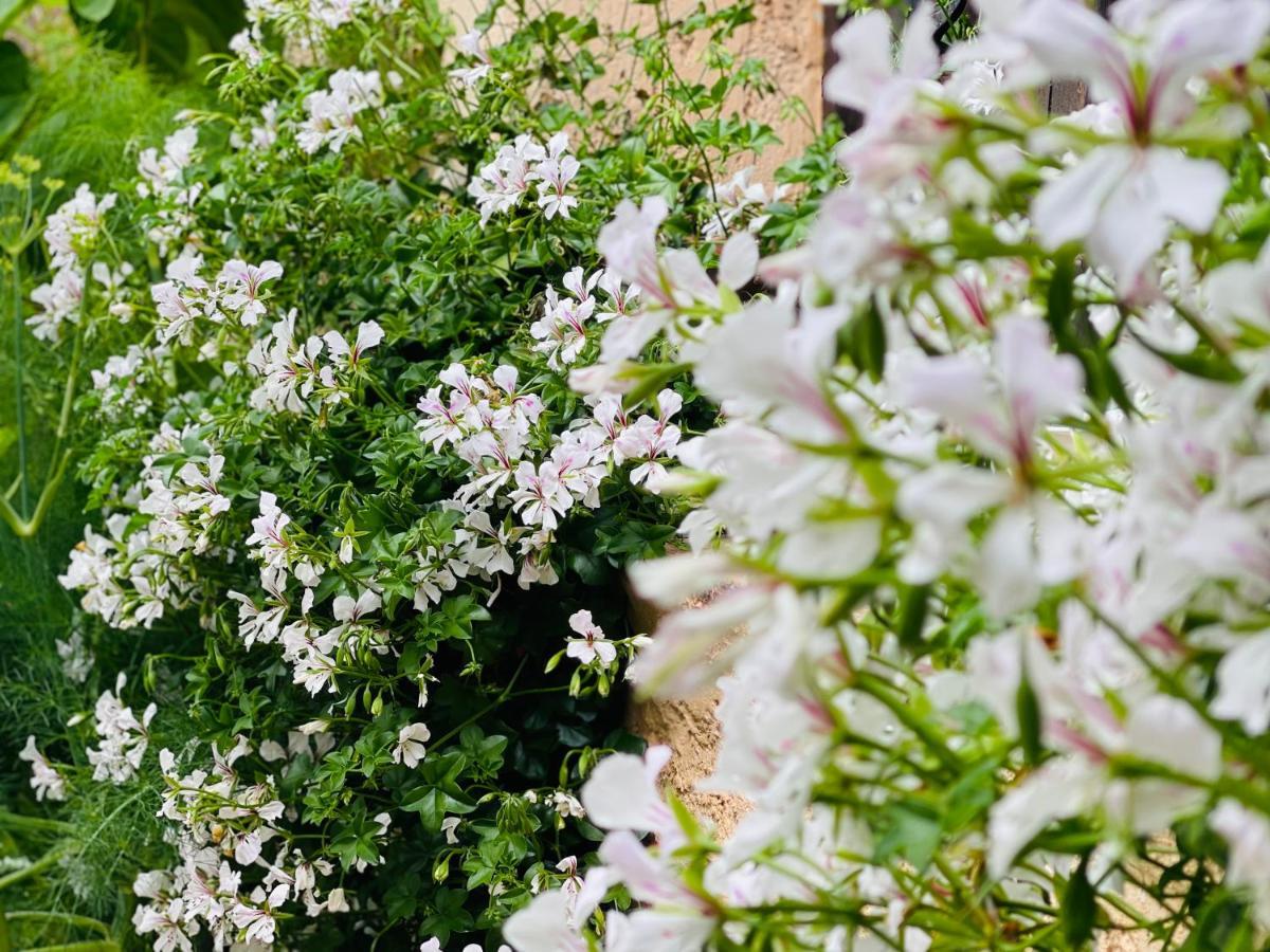 Abeille Acomodação com café da manhã Vence Exterior foto